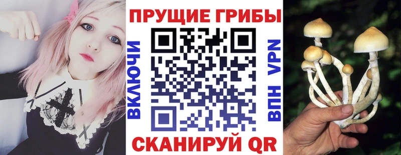 Псилоцибиновые грибы GOLDEN TEACHER  Мичуринск 
